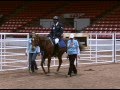 Animal Magnetism - SIRE