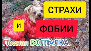 Какие страхи есть у вас? Боретесь с ними? Каким образом?