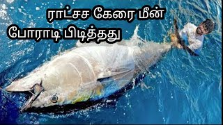 ஆழ்கடலில் தூண்டிலில் போராடி பிடித்த பெரிய கேரைமீன் /massive yellowfin tuna catch #deepsea #tuna