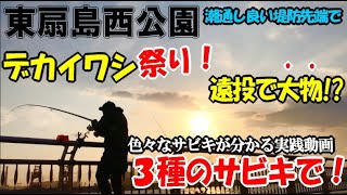 堤防先端角でサビキを投げまくったら大物がガツン！３種類のサビキ釣りでデカイワシ祭り！【東扇島西公園】