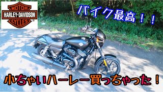 小ちゃいハーレー買っちゃった！！バイク最高👍ハーレーダビットソン最高‼️