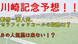 〔川崎記念　予想！！〕断然人気、セラフィックコールはどう！？あの人気馬は来ないかも！！