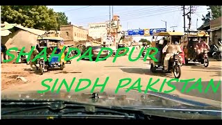 SHAHDADPUR DYNAMIC SINDH PAKISTAN SANGHAR DRIVE