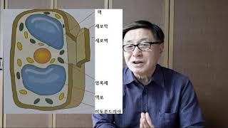 인문학적 숲해설/숲해설아카데미/79식물의 직립과 흡수스펙트럼/박종만