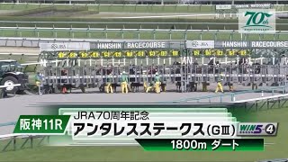 阪神11R JRA70周年記念　第29回アンタレスステークス（GⅢ）