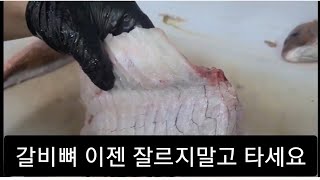 도미 도미잡는법 도미회뜨기달인 참돔 갈비뼈타기 이영상 으로 갈비뼈타기 종결하세요