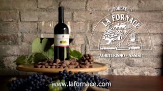 MERLOT LA FORNACE | Umbria | Assisi