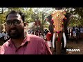 kodungallur thalappoli live 2023 live from pollachi pongal celebration @kerala elephants thrissur