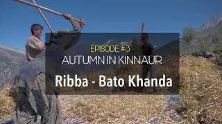 Life in Ribba - Bato Khanda | Autumn in Kinnaur | Episode #3