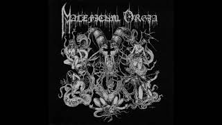 Maleficum Orgia - Self Titled LP 2008