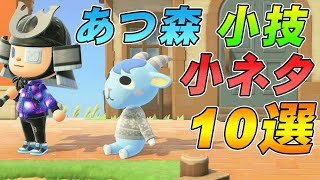 【あつ森攻略】意外と知らない小ネタ・小技10選　第1弾【あつまれ どうぶつの森】