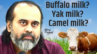 Buffalo milk? Yak milk? Camel milk? #shorts