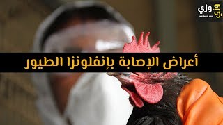 أهم أعراض إنفلونزا الطيور