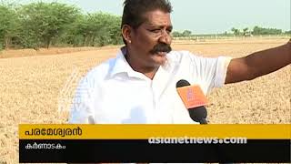 Kaveri delta districts in Tamil Nadu facing crisis in farming