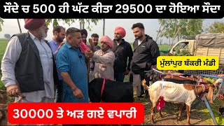 30000 ਤੇ ਹੀ ਅੜ ਗਏ ਵਪਾਰੀ ਮਸਾਂ ਮੰਨੇ ਫਿਰ ll MULLNAPUR MANDI ll #iltilanatv #goatfarm