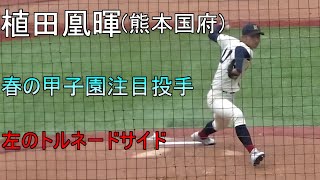 【2024年春の甲子園注目選手】熊本国府植田凰暉の投球【トルネードサイド】