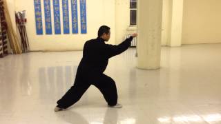 Xing Yi Quan ( Hsing-I, 河北形意拳 ) Pi (or Metal) Quan: Teaching Footage in Chinese.