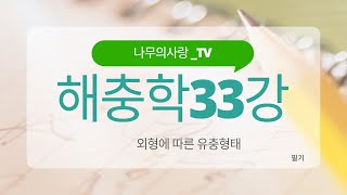 해충학 33 (요충의 물리적 외형에 따른 분류) 빈도: 높음