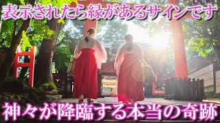 ⚠️神回※神々が降臨する本物の映像。全国八幡総本宮の神々が願いを叶えます。もし逃したら2度とありません｜宇佐神宮遠隔参拝341