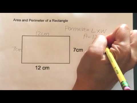 How To Find The Area And Perimeter Of A Rectangle - YouTube