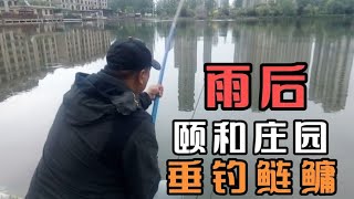 钓鱼人不会做鱼，不是真正的钓鱼人。老胡分享一道家常红烧小黑头 163