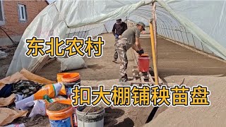 东北农村春耕生产开始了，扣完水稻大棚又开始忙着铺秧盘，太累了