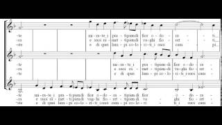 Su, su, su pastorelli vezzosi (C. Monteverdi) Score Animation