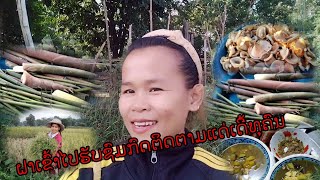 ມາກິນເຂົ້າທຽ່ງນໍາກັນເດີພີ່ນອ້ງ/มาทานข้าวเที่ยงด้วยกันจ้าพี่น้อง