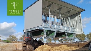 Topcalf Kälberhütte | Quattro Easy-clean XXL | Vollautomatisch Ausmisten