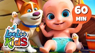 Animal Sounds - Educational Songs for Children | LooLoo Kids