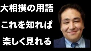 大相撲の基本ルールや用語を解説！これを知れば楽しく見れる