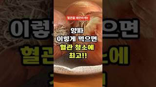 양파 이렇게 먹으면 혈관청소에 최고!! #혈관건강 #건강정보