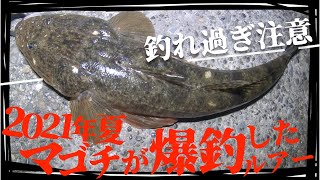 マゴチの釣り方【おすすめルアーの動かし方】