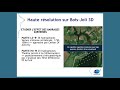 analyse globale des effets des barrages non hydroélectriques sur la dévalaison de l anguille