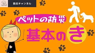 【ペットの防災】大切な家族の一員、ペットのための防災対策を考えていきましょう。まずは何から、どう動けば良いのか！分かりやすく説明します。