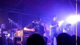 DAAU - Domestic Wildlife (Live)