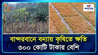 বান্দরবানে বন্যায় কৃষিতে ক্ষ তি ৩০০ কোটি টাকার বেশি | Bandarban | Flood | Weather | Nagorik TV