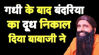 गधी के बाद अब बंदरिया का दूध निकाल दिया बाबा आरामदेव ने I Bhagat Ram