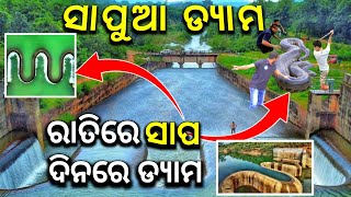 ରାତିରେ ସାପ, ଦିନରେ ଡ୍ୟାମ, ( ସାପୁଆ ଡ୍ୟାମ ) Sapua Dam // Sapua Dam History // Sapua Dam Picnic Spot