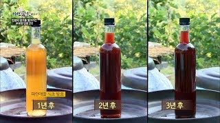 파일애플식초와 아로니아 식초는 어떻게 만들까? [자연愛산다] 25회 20171003