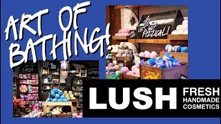 [LUSH] ALL ABOUT \