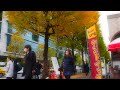 東京　丸の内　オフィス街の紅葉　２０１５．１２．８　marunouchi tokyo