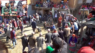 deuda performance in dharme brother's village || village cultural dance and song gathering programme