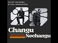 Chief Shumba Hwenje - Changu Nechangu(Official Audio) featuring Nyika Makorose