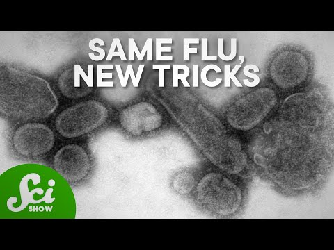 How did the 1957 flu pandemic end?