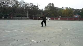 Long Hua Jian Performance