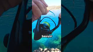 Balık Kamışı Kırdı / Kıyı At Çek Lrf Balık Avı #shorts #fishing