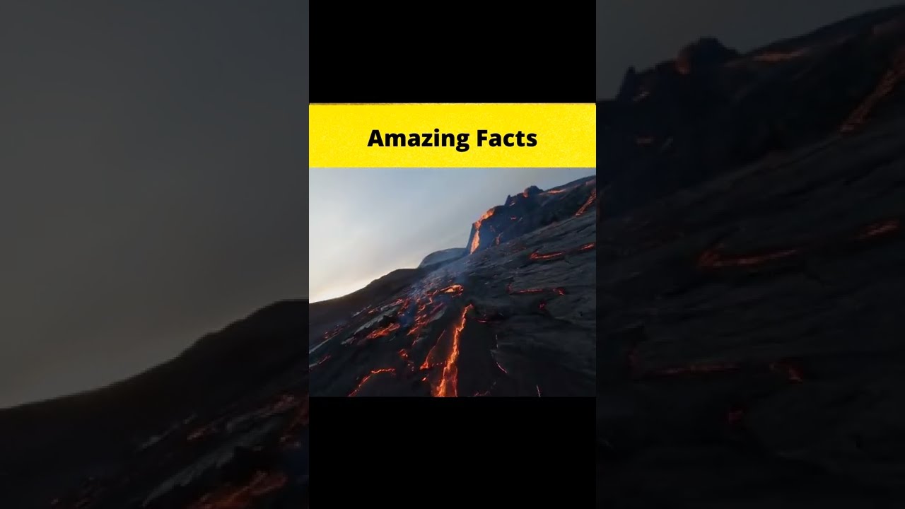 Top 3 Amazing Facts Awesome 😂😂😮🤣 @MR. INDIAN HACKER @Crazy XYZ || #shorts || #FactBeast