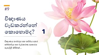 විඥාණය වැඩකරන්නේ කොහොමද? 1 - Vignanaya