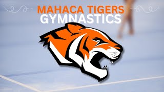 MACA Gymnastics vs Long Prairie - Grey Eagle